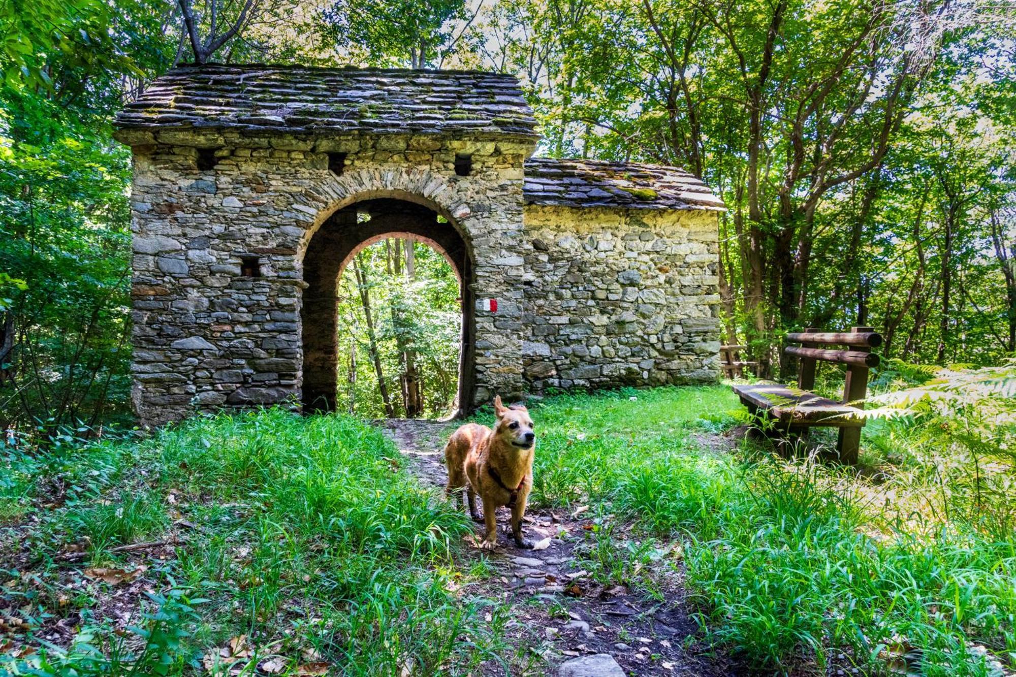 Maccagno Casa Del Borgo "Aria & Acqua" Sul Lago Maggiore מראה חיצוני תמונה