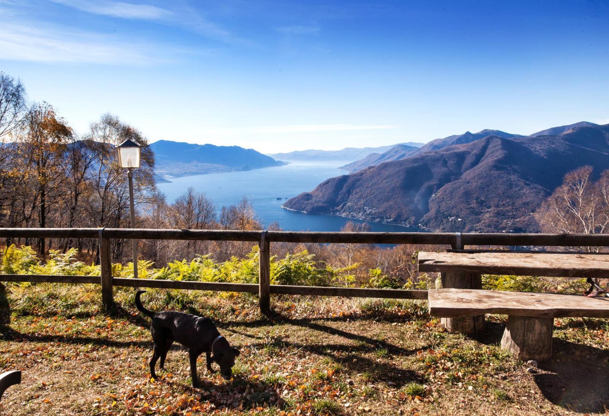 Maccagno Casa Del Borgo "Aria & Acqua" Sul Lago Maggiore מראה חיצוני תמונה